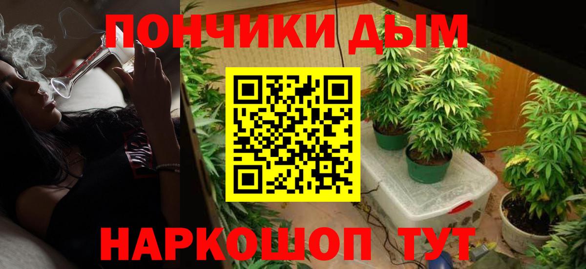 Шишки марихуана MAZAR  Вход с VPN  Марихуана MAZAR  Черногорск  Марихуана гибрид  Шишки марихуана SATIVA & INDICA 